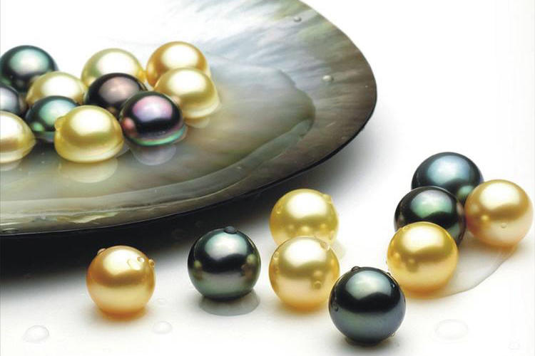 珍珠手链判断真假,野生无核可食珍珠怎么辨别真假
