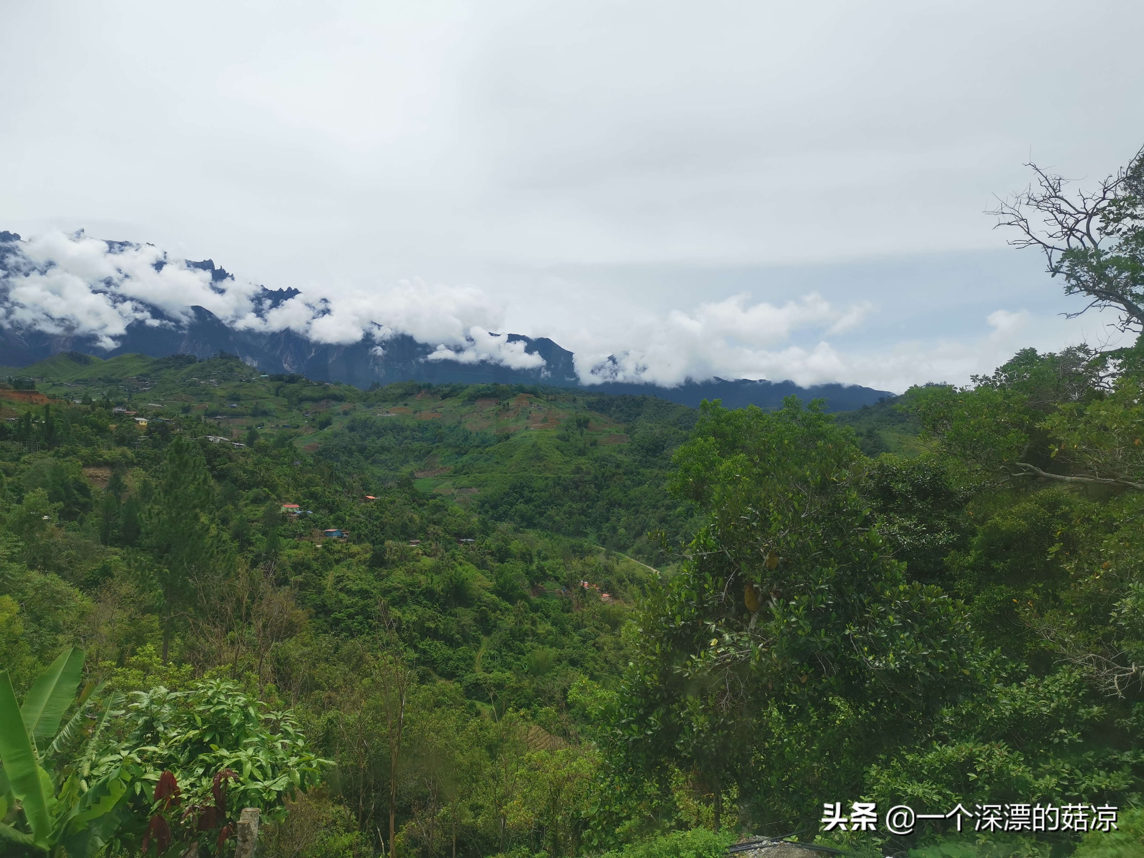 在夏天结束前去海边,在夏天结束之前去一次海边