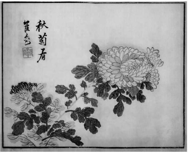 菊花写意画法100幅,简单的写意菊花画法