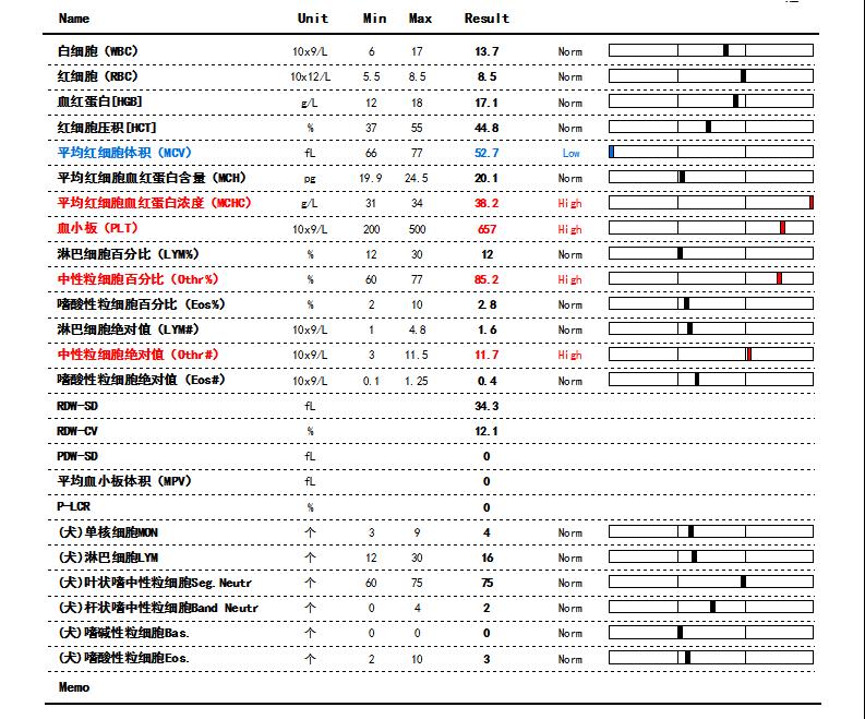 震惊！原来狗狗也会患乳腺肿瘤，宠物家长该怎么样