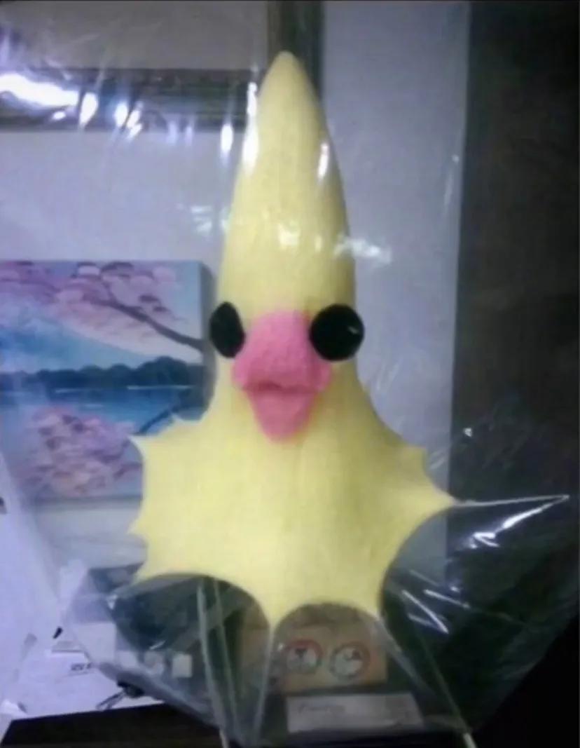 每日一笑挑战规则,每日一笑尴尬局面