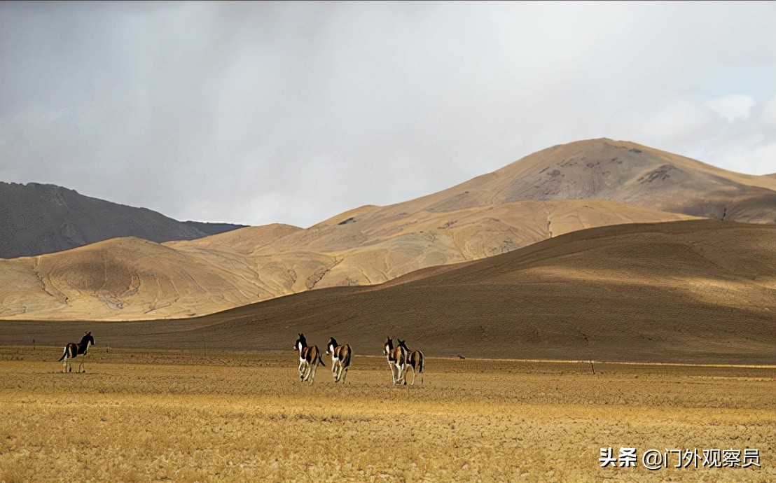 为什么到西藏一定要去阿里,不去拉萨能到那曲吗