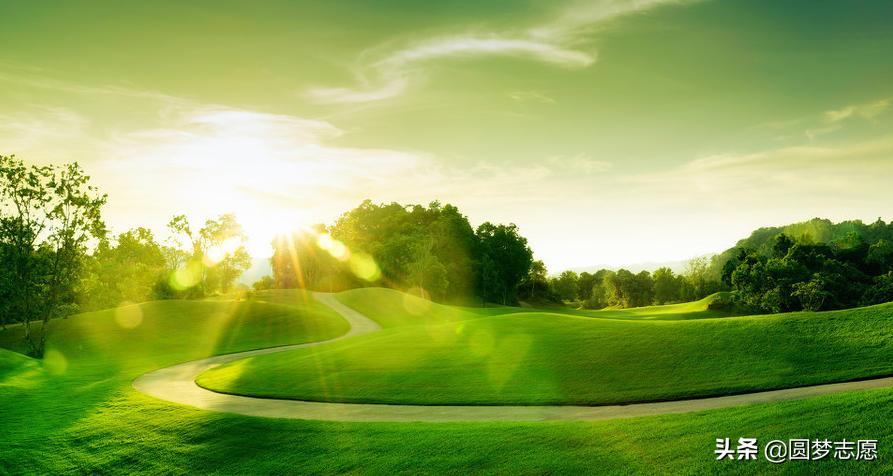 这5个冷门专业很少人报考,有哪些冷门但特别好的专业