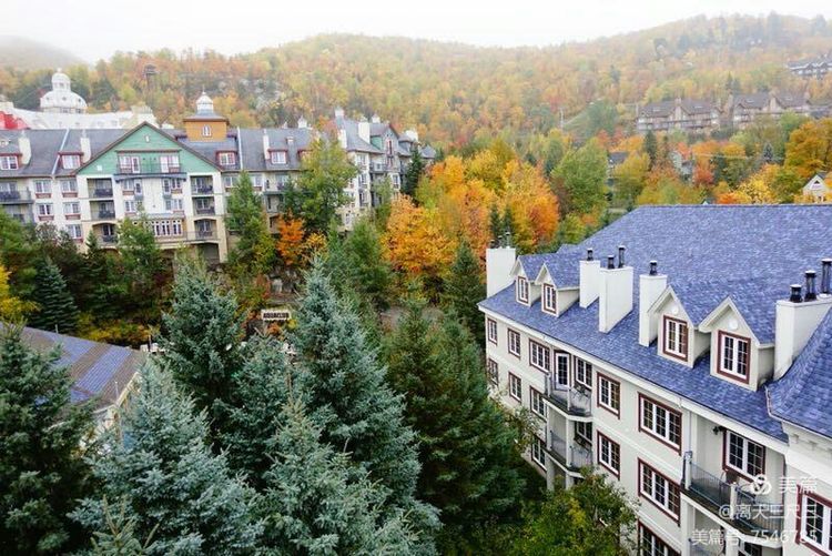 鍖楃編鏋儏閽荤煶姗℃湪,鍖楃編鏋儏鐏攨