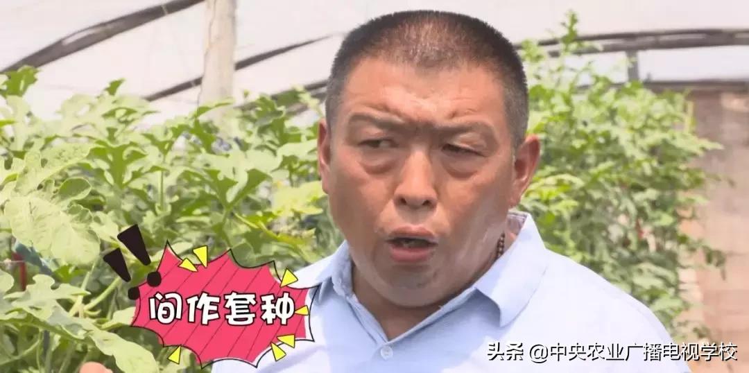 卖小西瓜技巧,卖西瓜小妙招