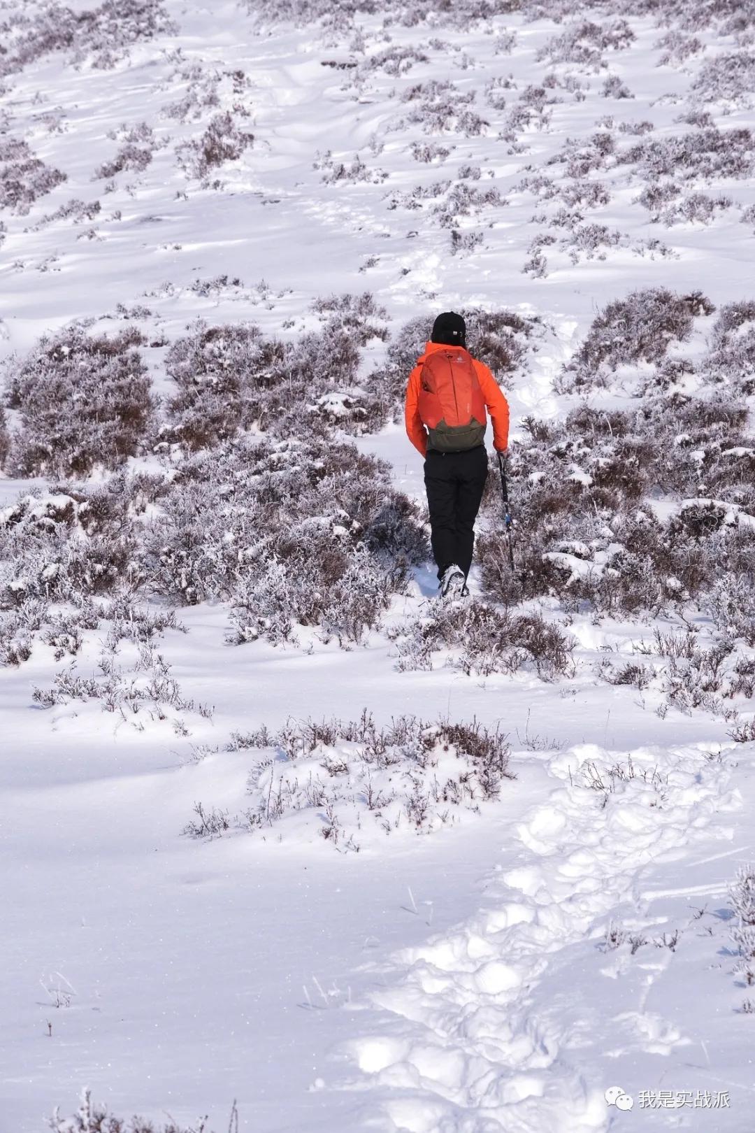 deuter萤火虫24年款,deuter萤火虫评测