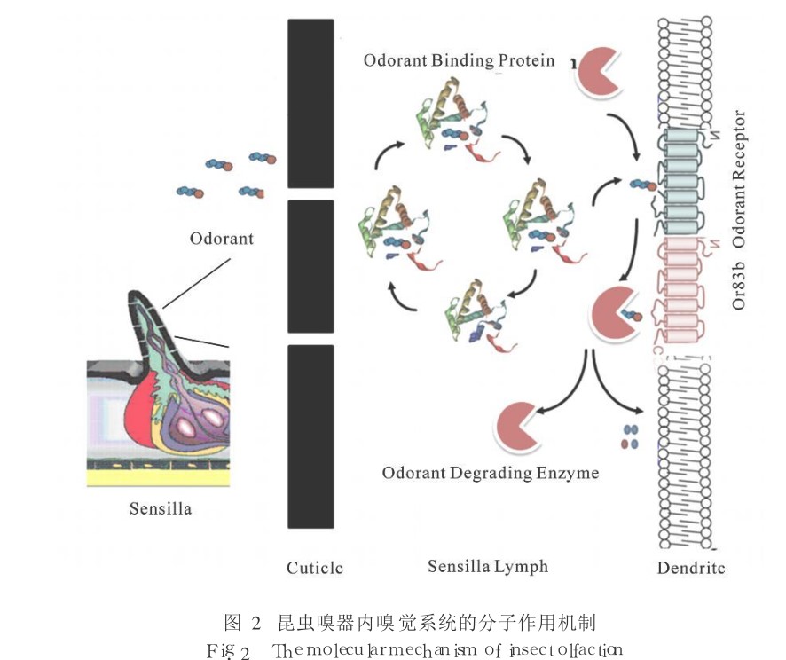 你关心的几个问题,你关心的辐射问题