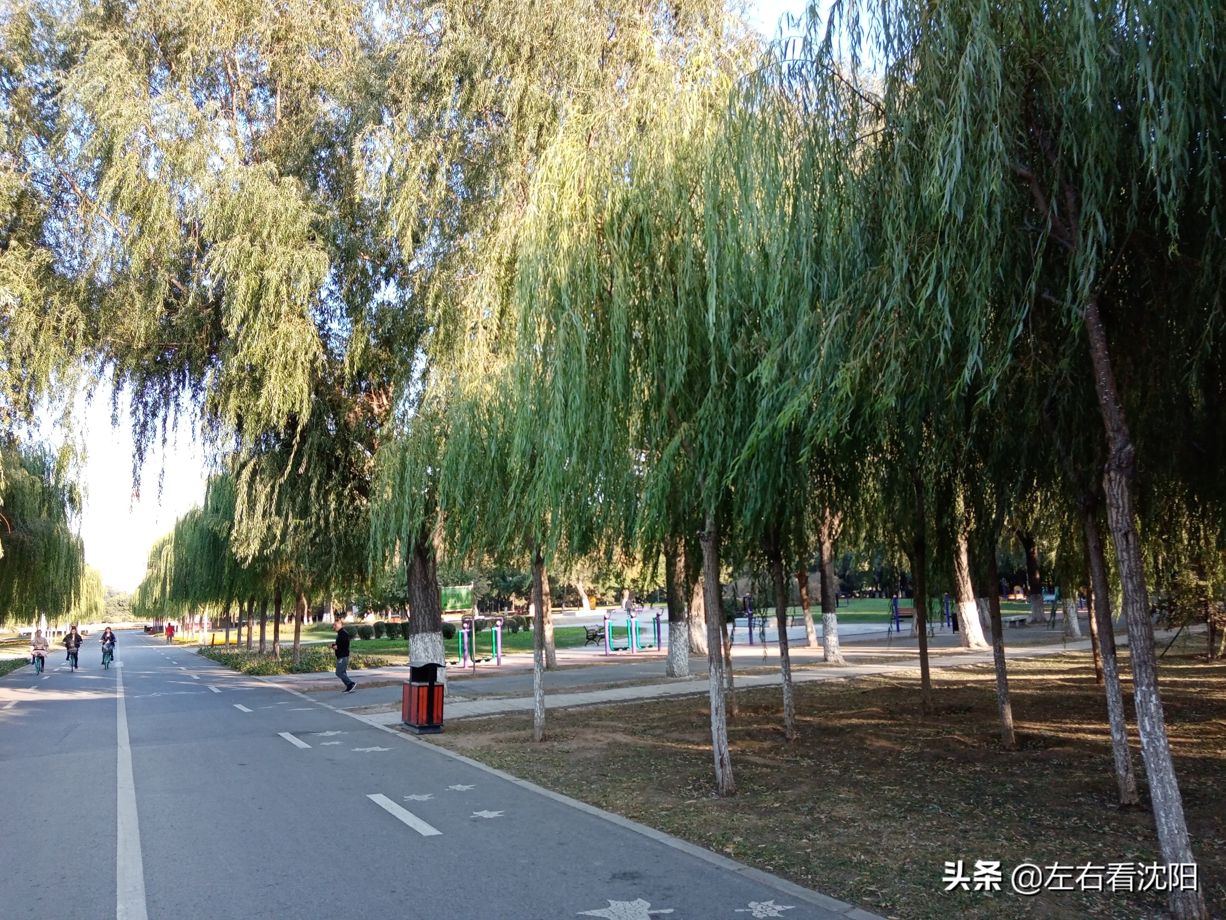 沈阳五里河公园攻略,沈阳五里河公园现在开吗