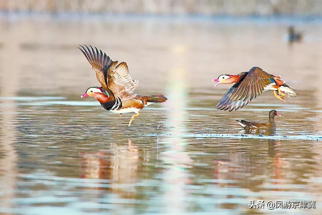 河北省保定区号0310,0312是哪个城市的区号