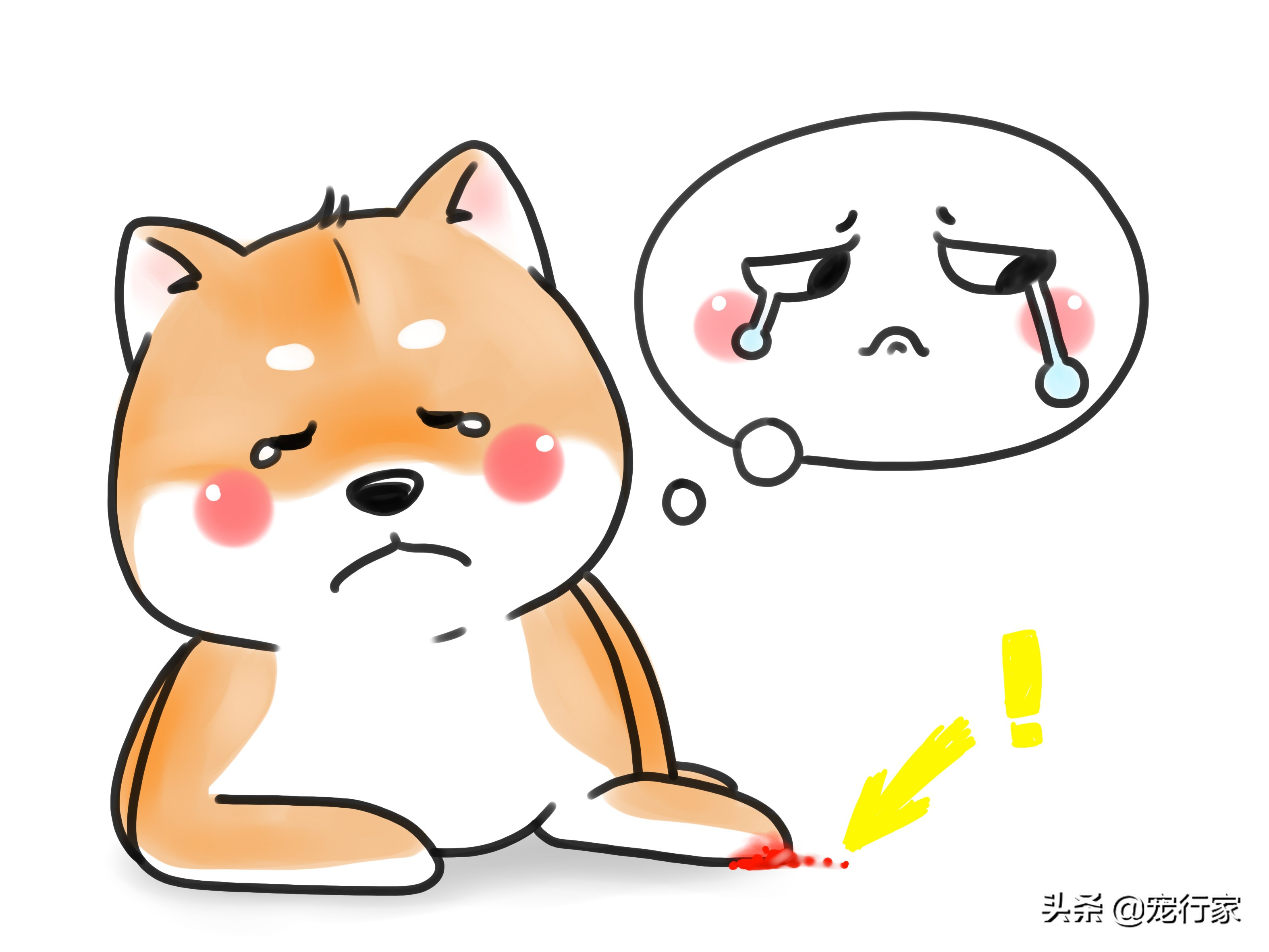 狗狗爪子指甲根部出血了怎么办,狗狗爪子受伤红肿怎么处理