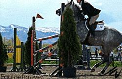 电影夺冠的影片内容,电影夺冠观影