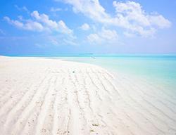 鍗板凹鑸┖鍏徃涔癮rj21椋炴満,鍗板凹鐨勮埅绌哄叕鍙竎itilner