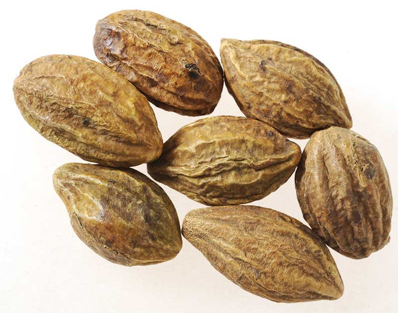 诃子古今中药研究,诃子药效接近的中药