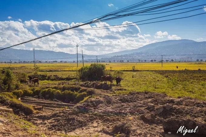 腾冲旅游攻略气温,腾冲深度旅游