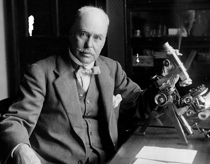 龙岭迷窟毒蜂窝,龙岭迷窟里的蝙蝠