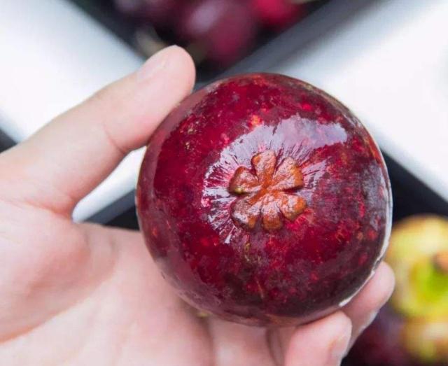 长见识了山竹原来这样吃,山竹到底该吃哪个部分