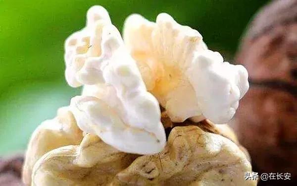 陕西的青皮核桃,陕西人儿时记忆饭菜