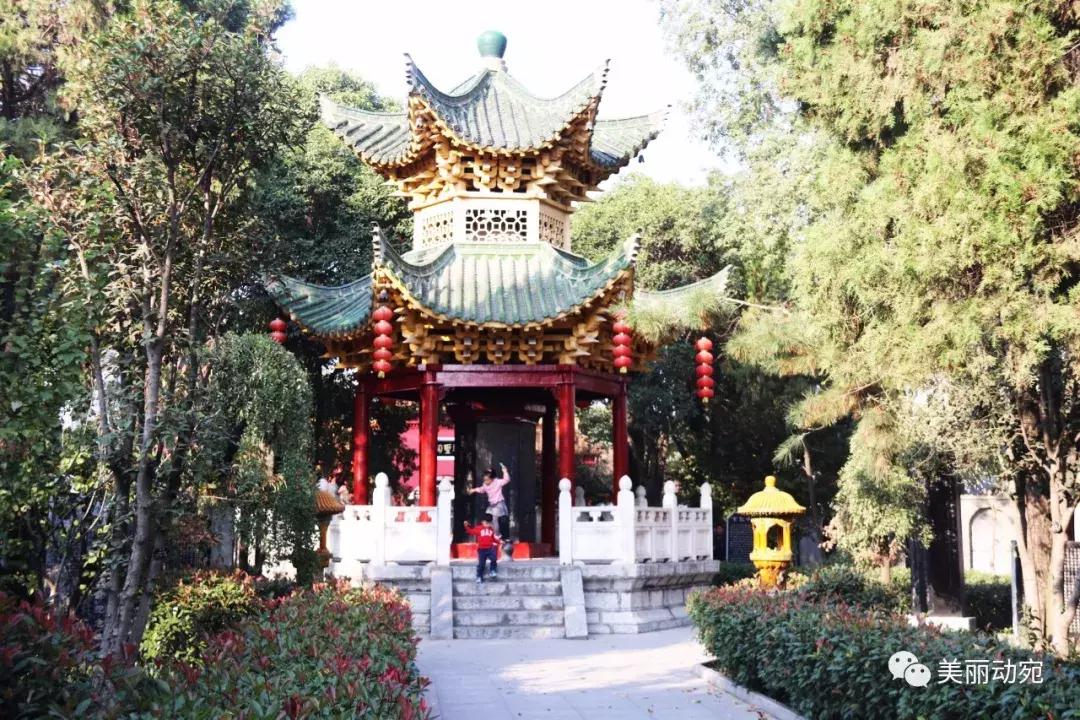 这本书，世上只有一本；这个人，也再也不会出现