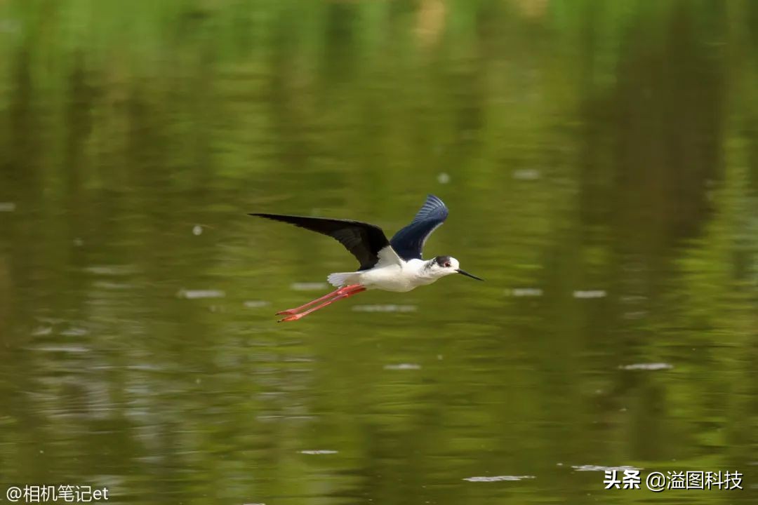 今天有几款新镜头刚刚开卖