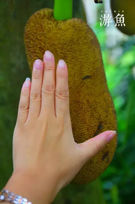 希尔顿兴隆湖,希尔顿酒店兴隆店