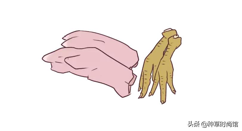 美妆界最大的骗局是什么,美妆界最大的骗局是真的吗