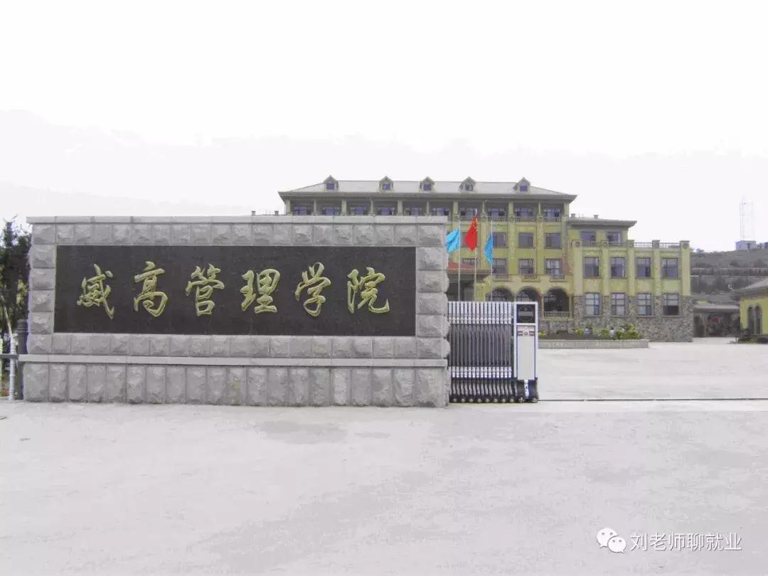 带你看企业招聘,威高集团在威海的口碑