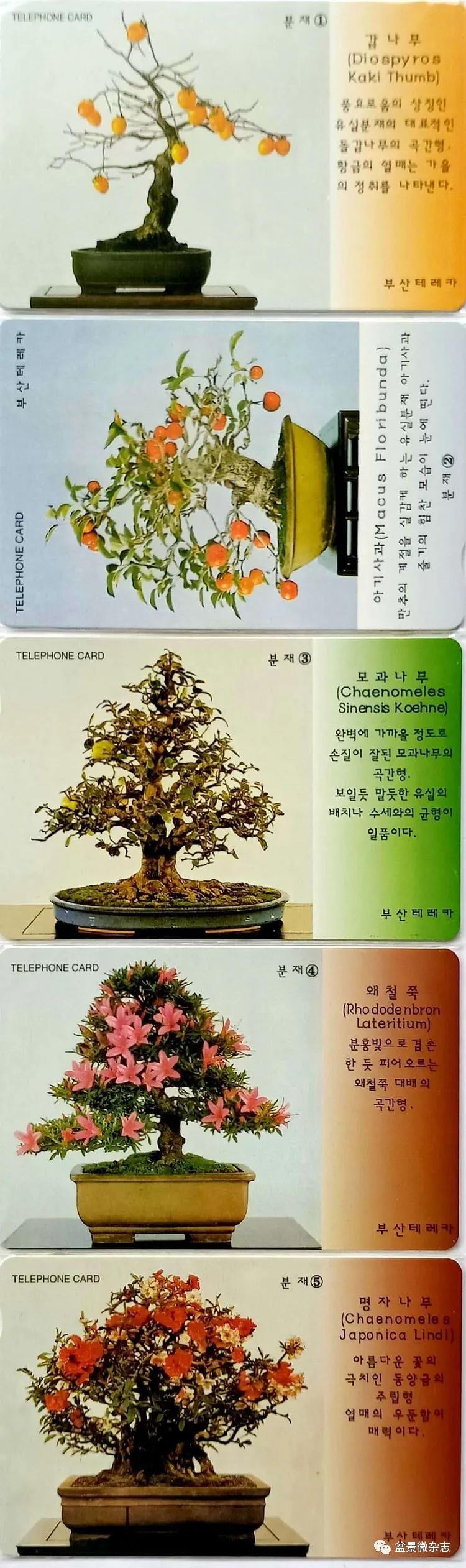 鐩嗘櫙鑱旂郴鐢佃瘽鍙风爜,涓鐩嗘櫙鑱旂郴鏂瑰紡