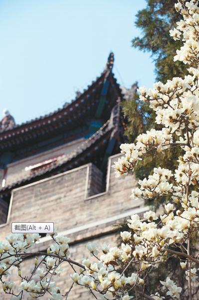 有一种春天叫西安的春天,西安古都的春天在哪里