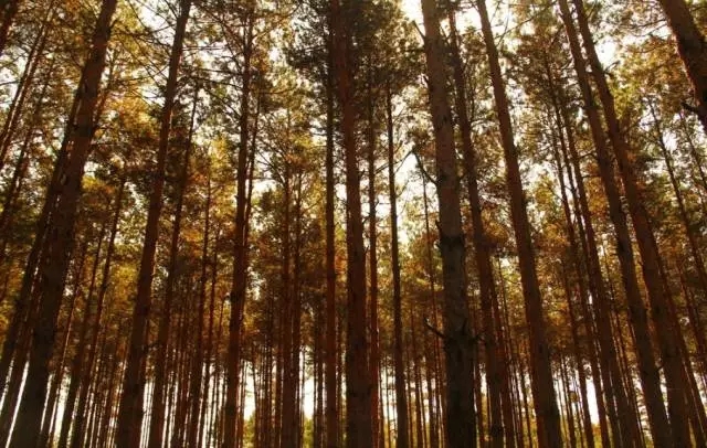 led摄影灯哪个牌子好,led摄影灯推荐便携