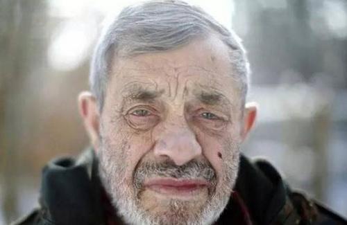 国外老人成为狼群的头狼，母狼发情时最尴尬，地位受挑战时最危险