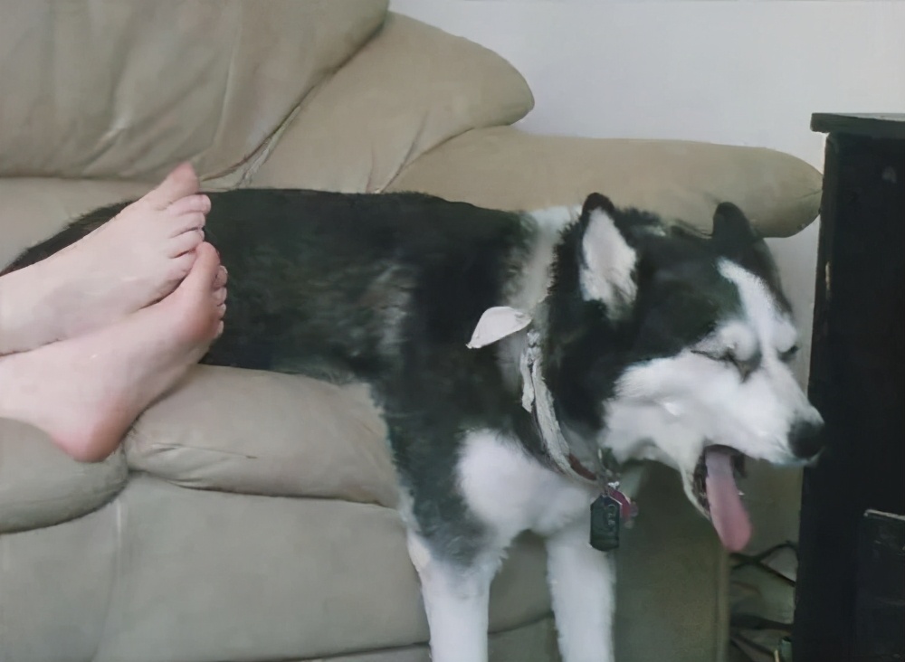 为什么喜欢闻自己的脚臭,狐臭口臭脚臭屁臭