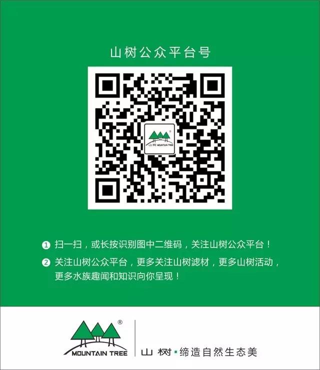 怎么训锦鲤最有效,锦鲤新手必备技巧