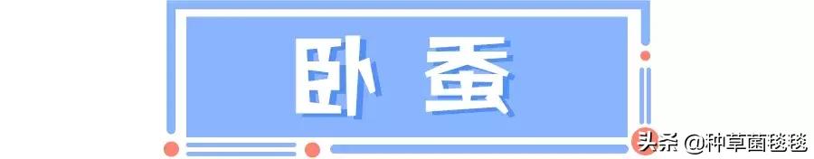 三招教你秒变大眼睛技巧,三招教你眼睛又大又美
