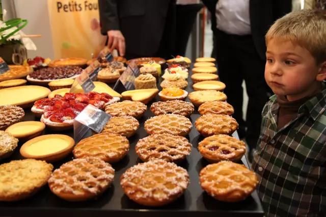 去比利时自由行的注意事项,去比利时旅游需要哪些手续