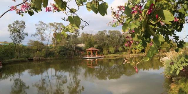 学考120分，可以上这所高质量大学吗？