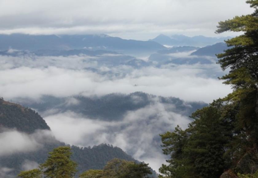 清明小长假,最美的行程当属井冈山