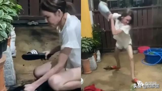 “变性人打狗”泰国热搜？比灾难更可怕的是灾难中现形的人心险恶