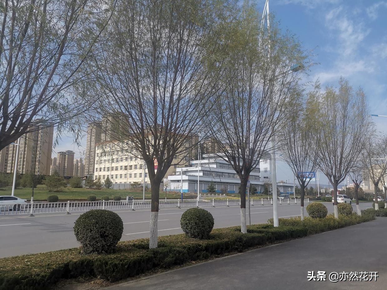 关于自我介绍编写小故事,如何写自己的故事构思