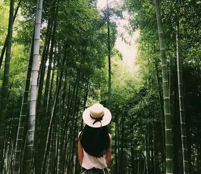 8分钟直抵江南唯一滑雪场,还有温泉,来这家高山云雪民宿充电打卡