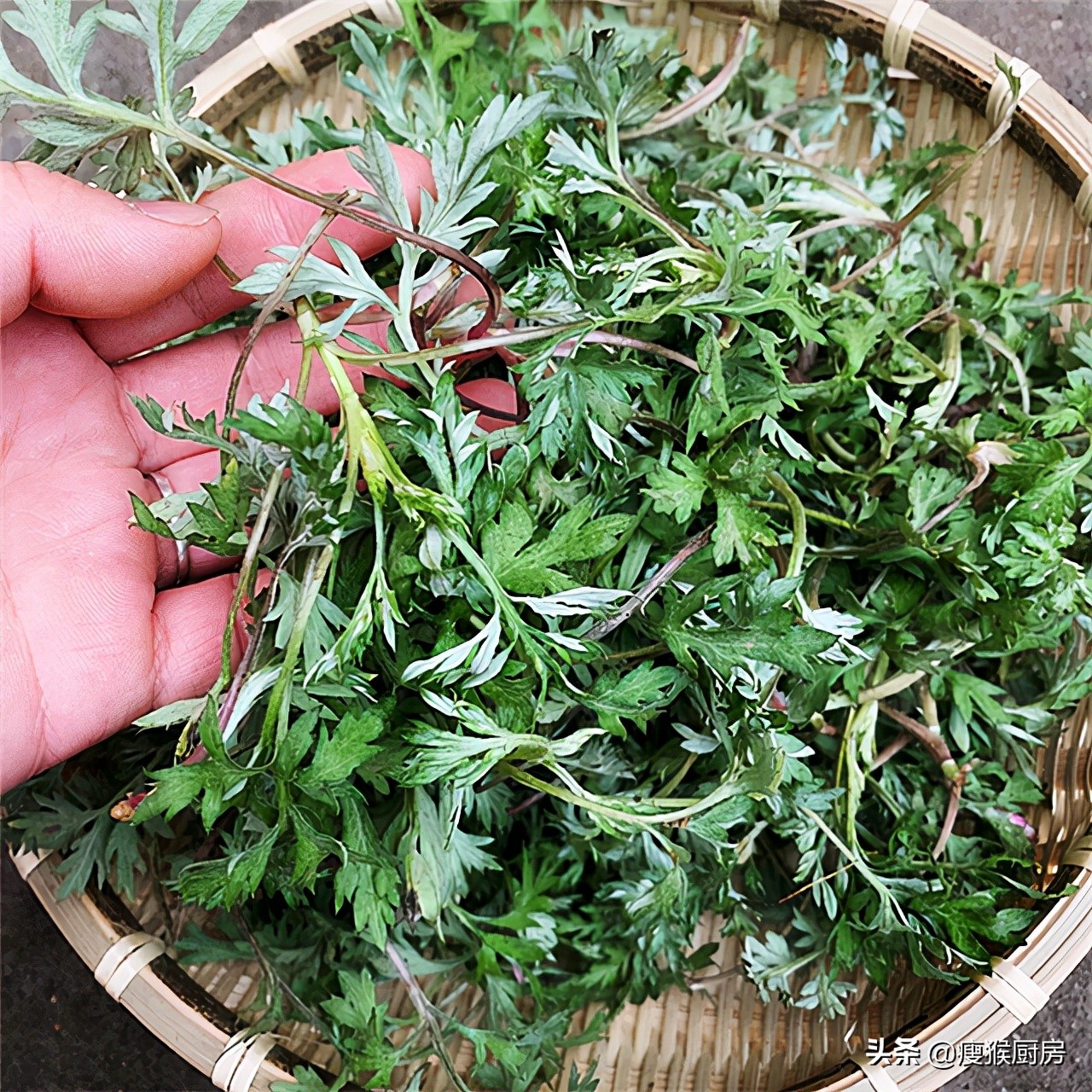 安徽不起眼的小城市,安徽的一座小县城