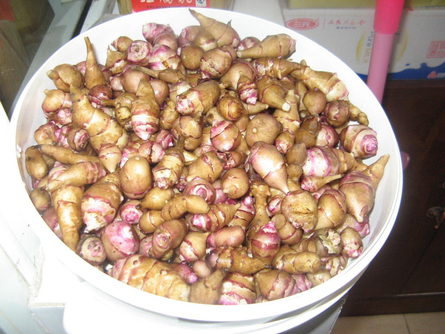 与加拿大一枝黄花齐名的菊芋，在中国却未能泛滥成灾，吃成美食？