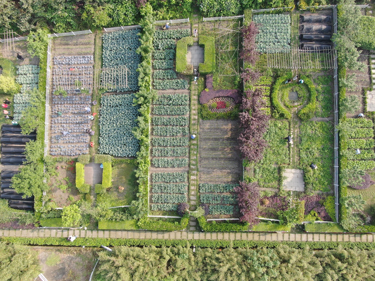 四川蓝剑饮品集团上市,四川蓝剑饮品集团营业额