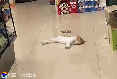 媳妇说丢就丢,媳妇说丢了怎么回