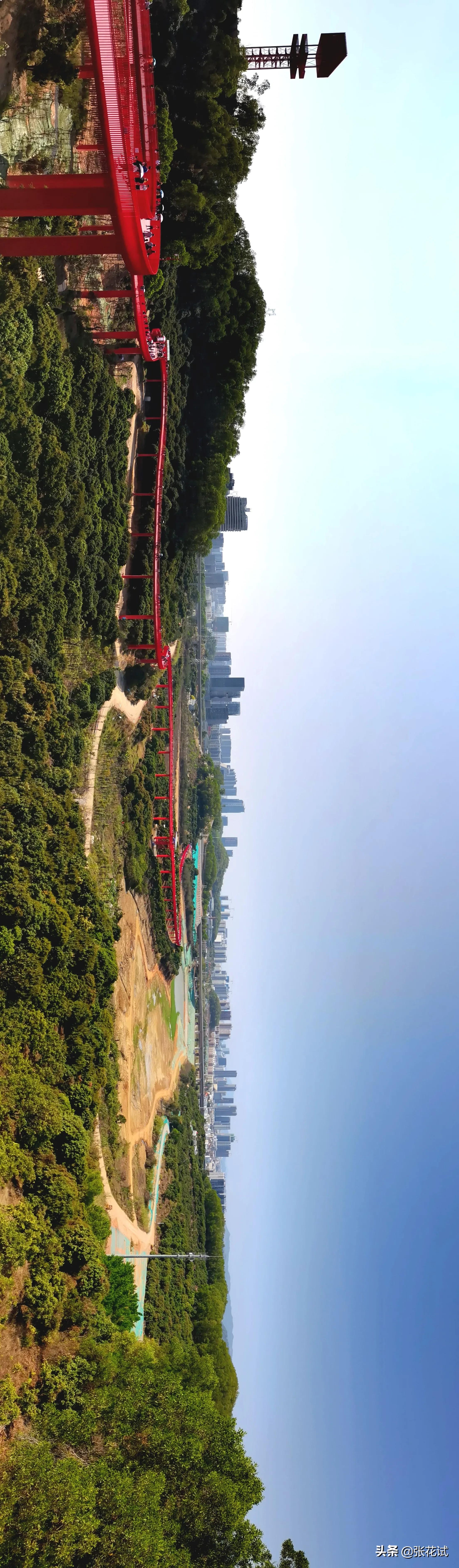 新春踏上深圳光明“虹”地毯，牛年红红火火