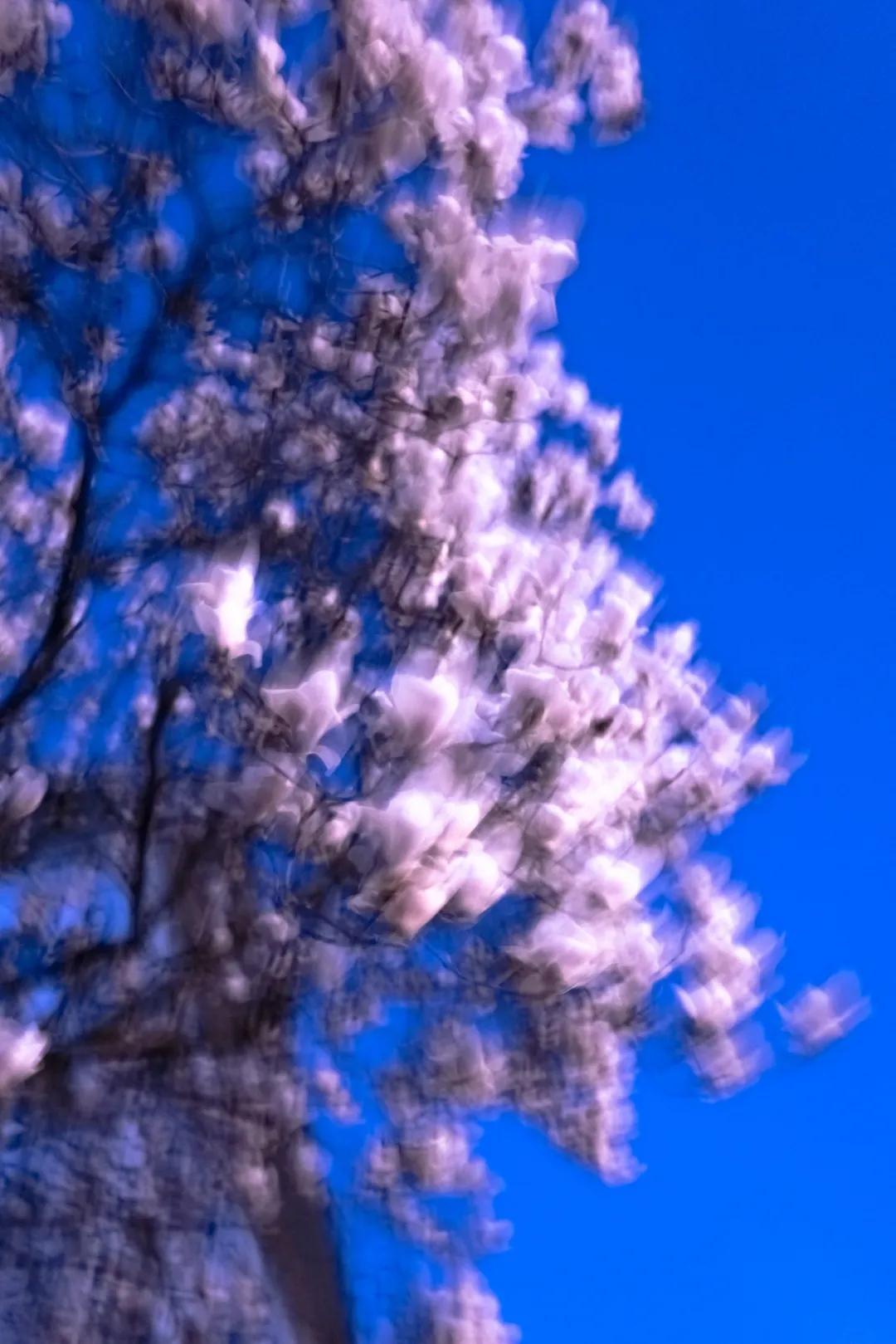 徕卡qp详细评测,自用徕卡q-p相机