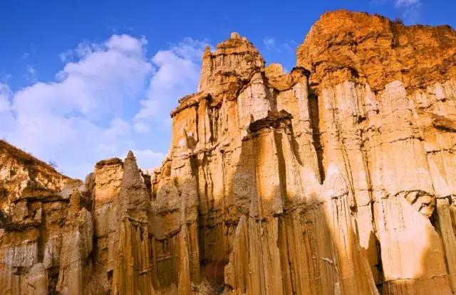 云南大理樱花谷景点,冬樱花大理