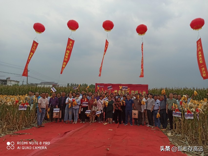 丰大611观摩会,热烈祝贺大会顺利召开视频