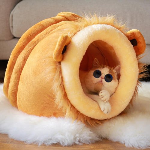 猫最好用什么猫窝,各种猫窝的视频大全