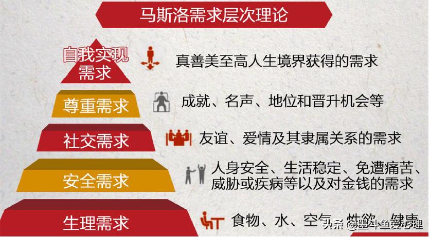 为什么汪峰要怒放的生命,汪峰怒放的生命说的是什么