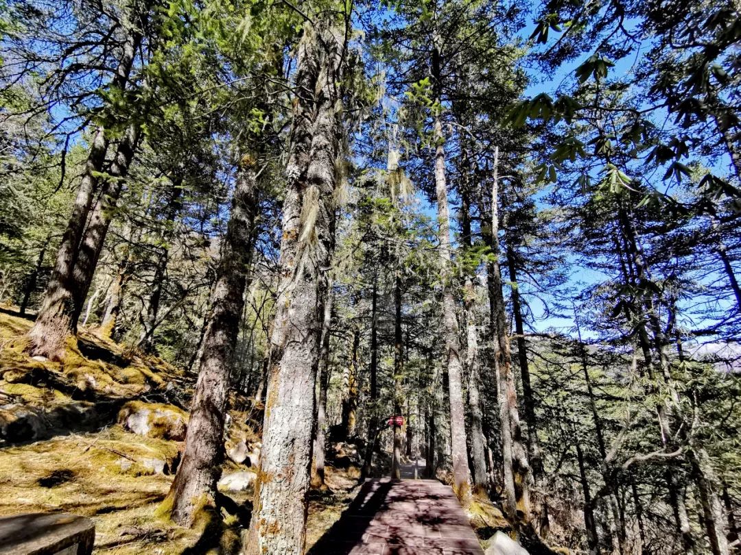 木格措一日游,去木格措最难走的路